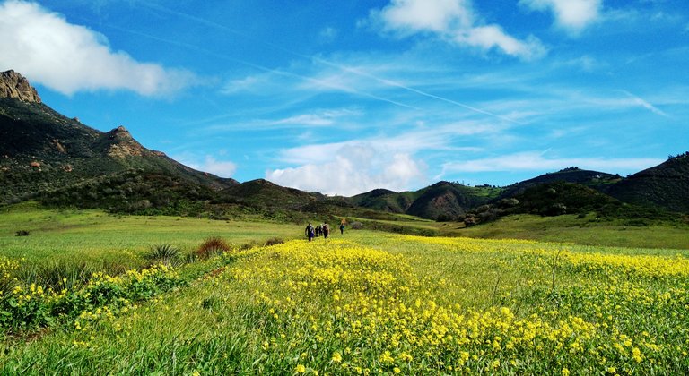 Malibu Hike 2.jpeg