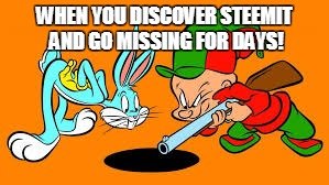 Wabbit hole meme.jpg