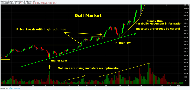 bull Market 3.png