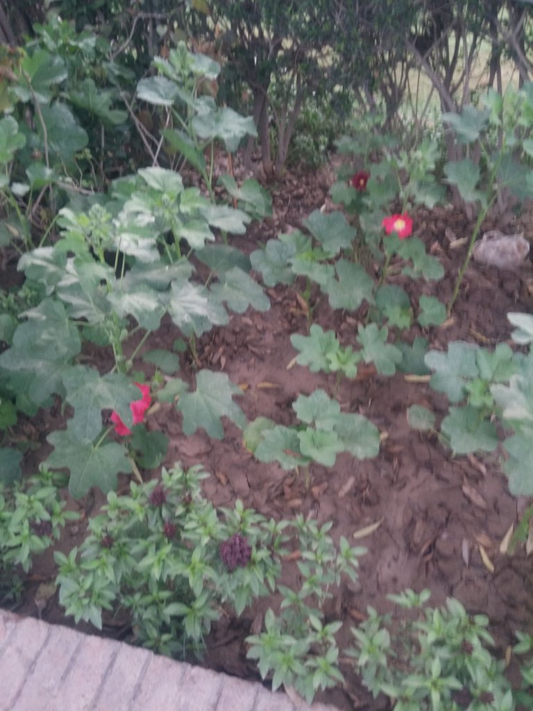 20180303_071911.jpg