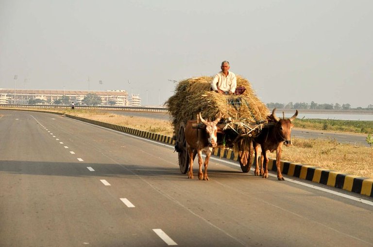 Naya Raipur.jpg