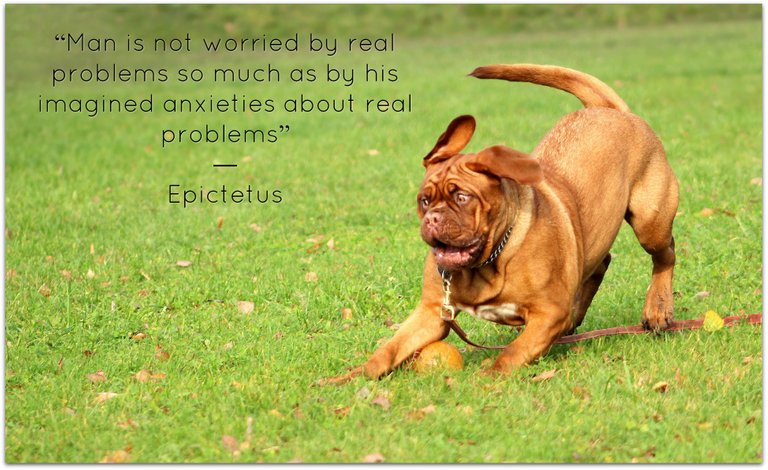 Epictetus quote 5.jpg