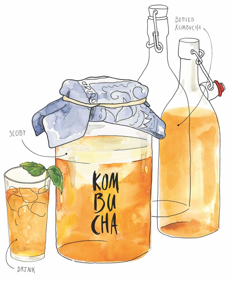 kombucha.main_.jpg