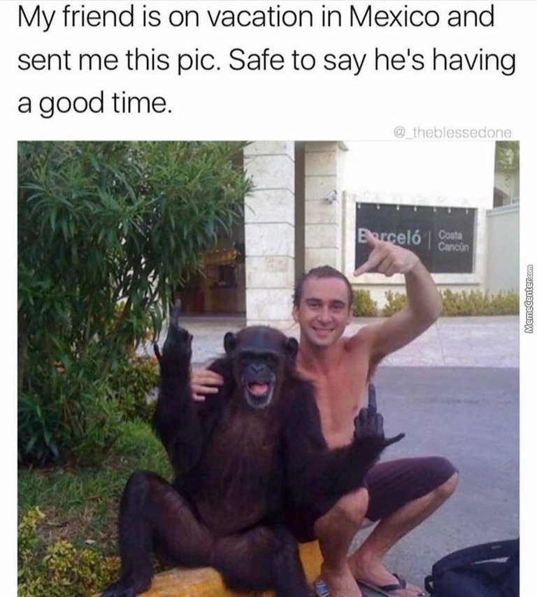 this-monkey-is-a-bigger-hustler-than-me_o_7161687.jpg