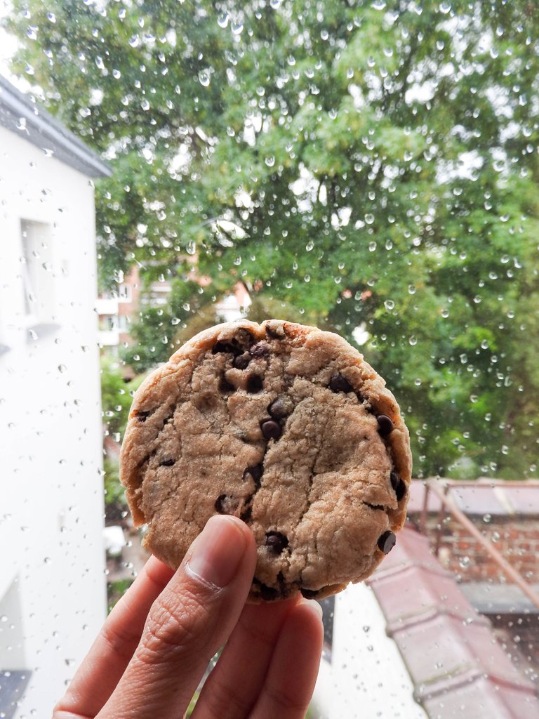 cookies 4.jpg