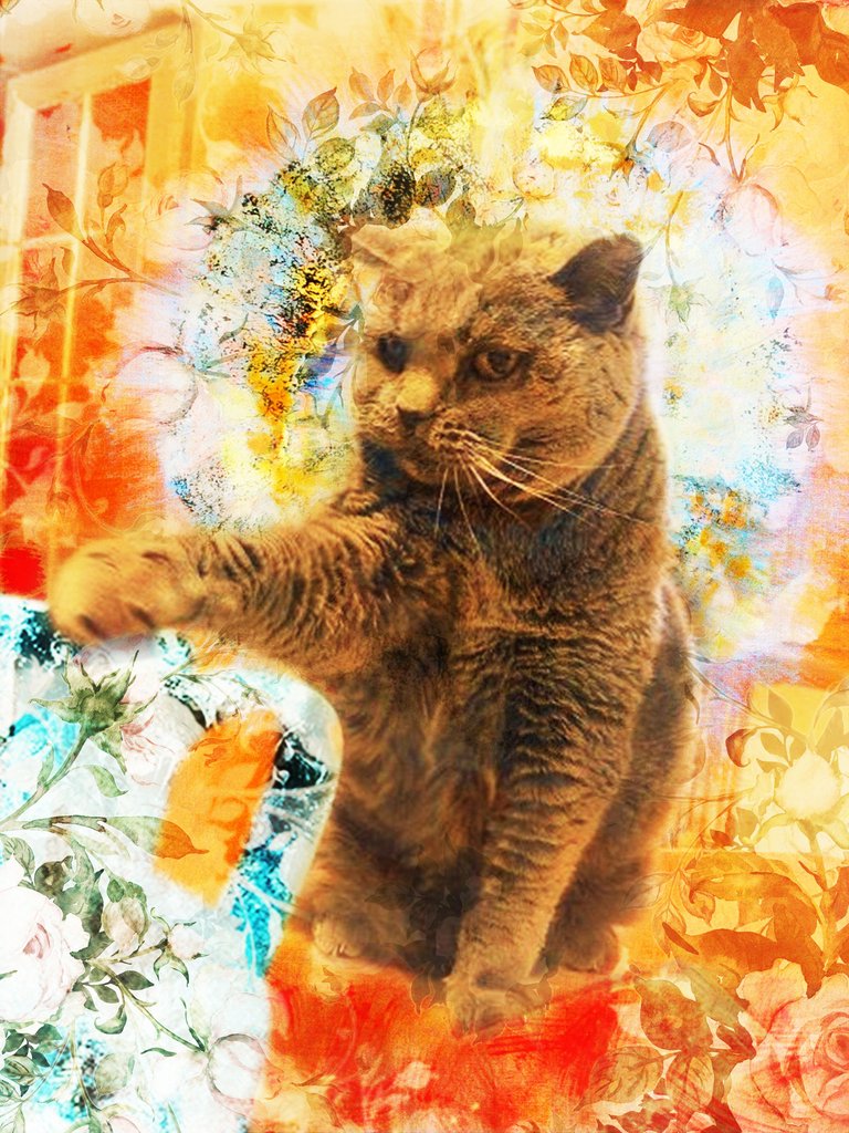 ofilsdutemps cat tribute tuesday.jpg