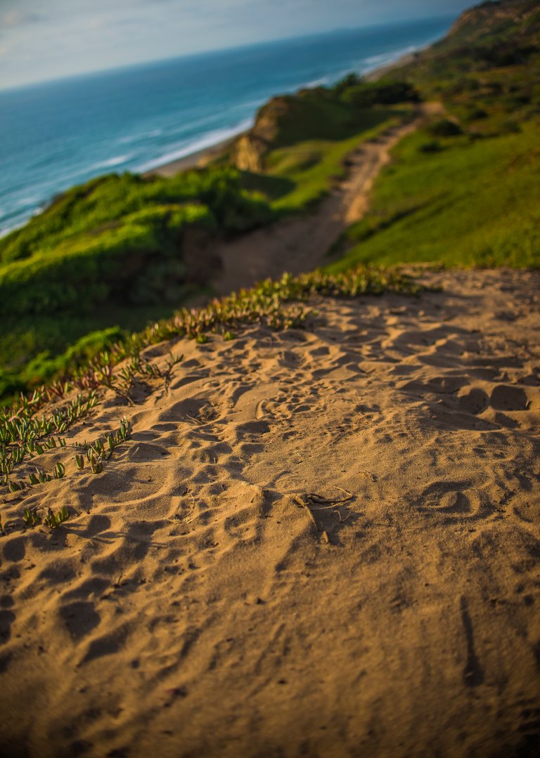 costal hike.jpg