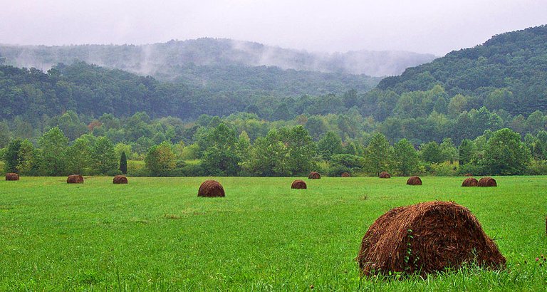 agriculture.jpg