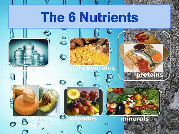 notes-nutrients-2-728.jpg