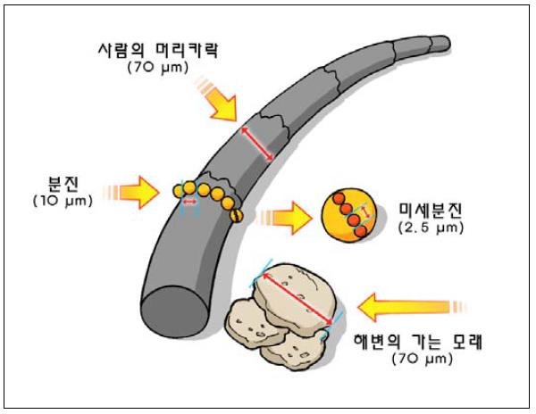 미세먼지_2.jpg