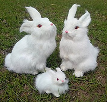 Cute White Rabbits Family.jpg