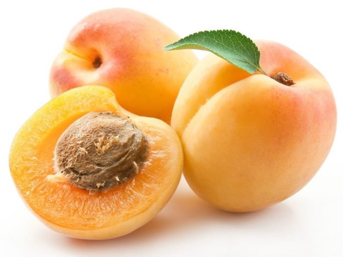 Apricot3.jpg