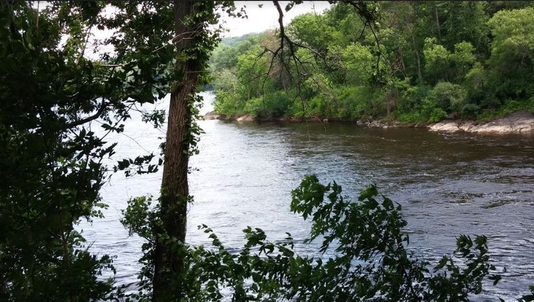 St Croix River in.JPG