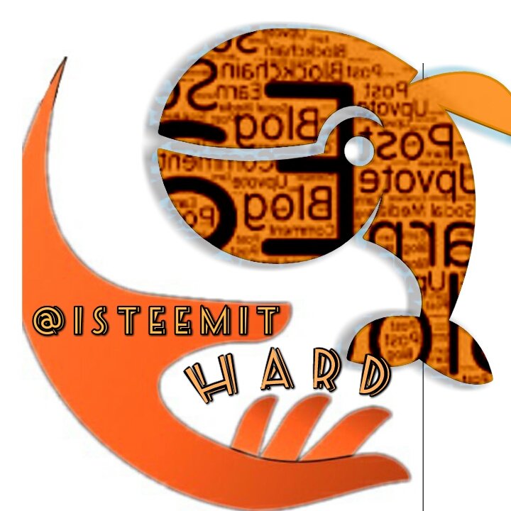 Logopit_1526091647397.jpg