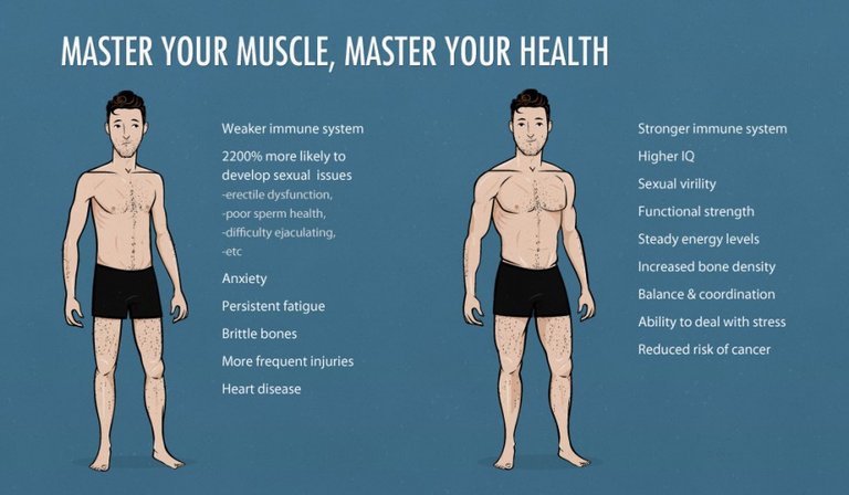 the-ideal-male-body-weight-chart-skinny-vs-muscle.jpg