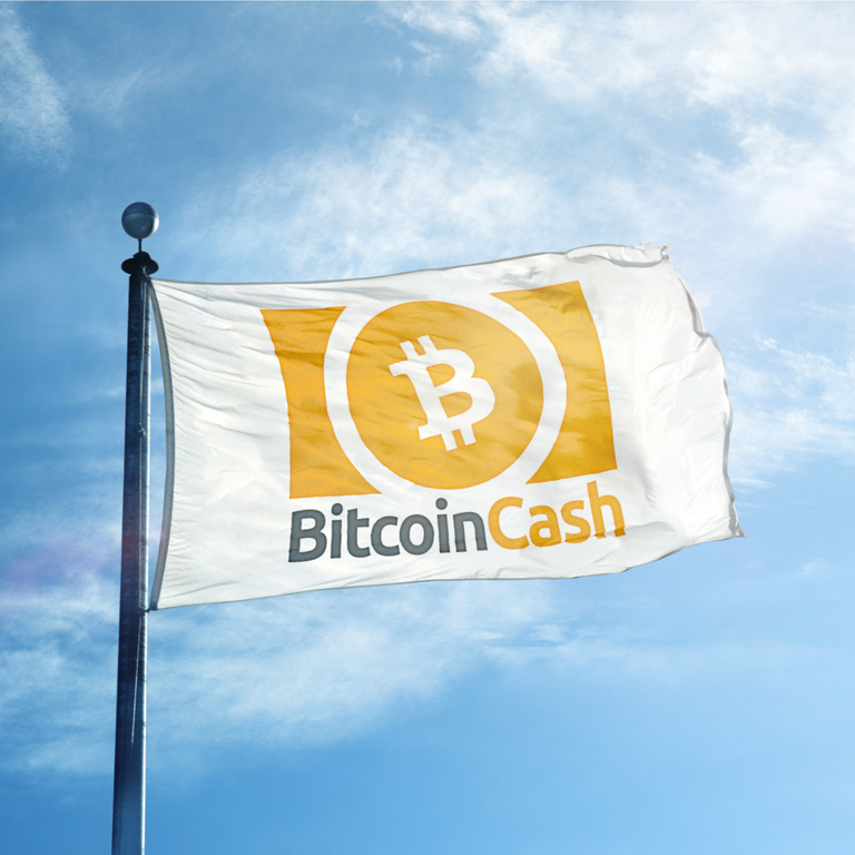 bitcoin-cash-1-1068x1068.png