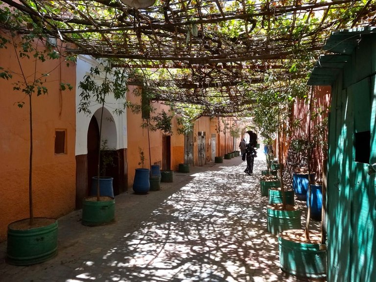 guided-walking-tour-marrakech-medina.jpg