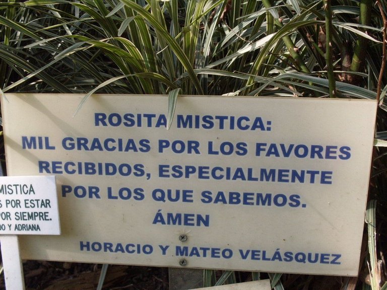 Placa Virgen de la Rosa Mìstica por Cynthia De Simone.JPG