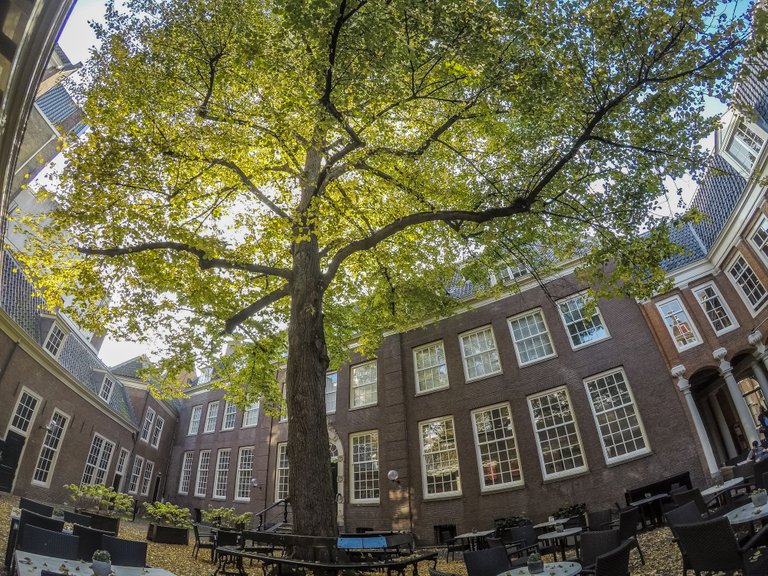 Amsterdam-175.jpg