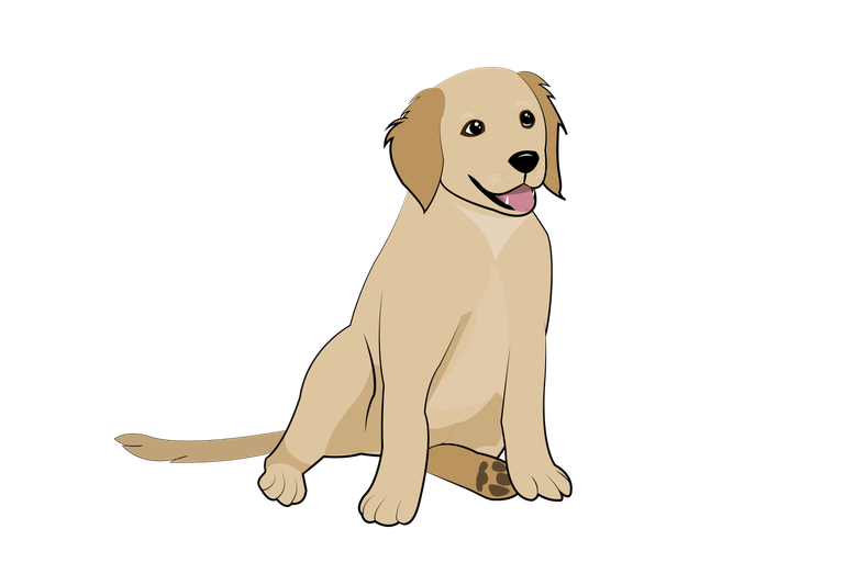 5 Golden retriever puppy.png