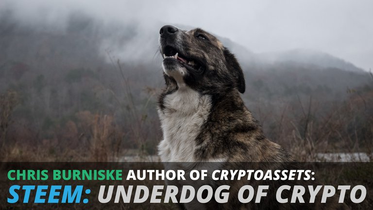 Steem Underdog of Crypto-01.jpg