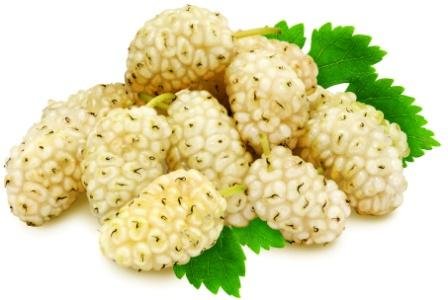 Morus-alba-fruits-Malbari1.jpg