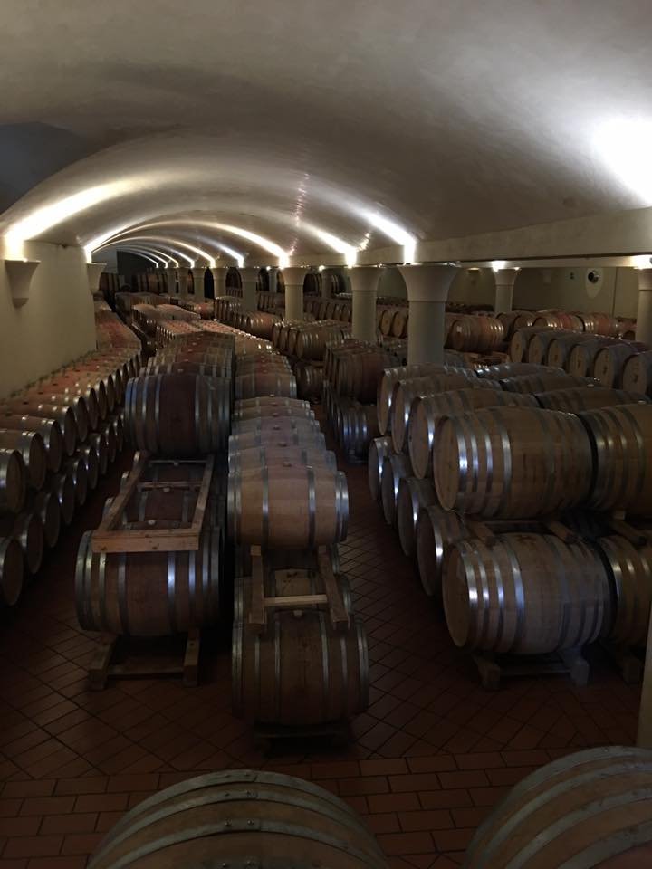Italy Wine Cellar.jpg