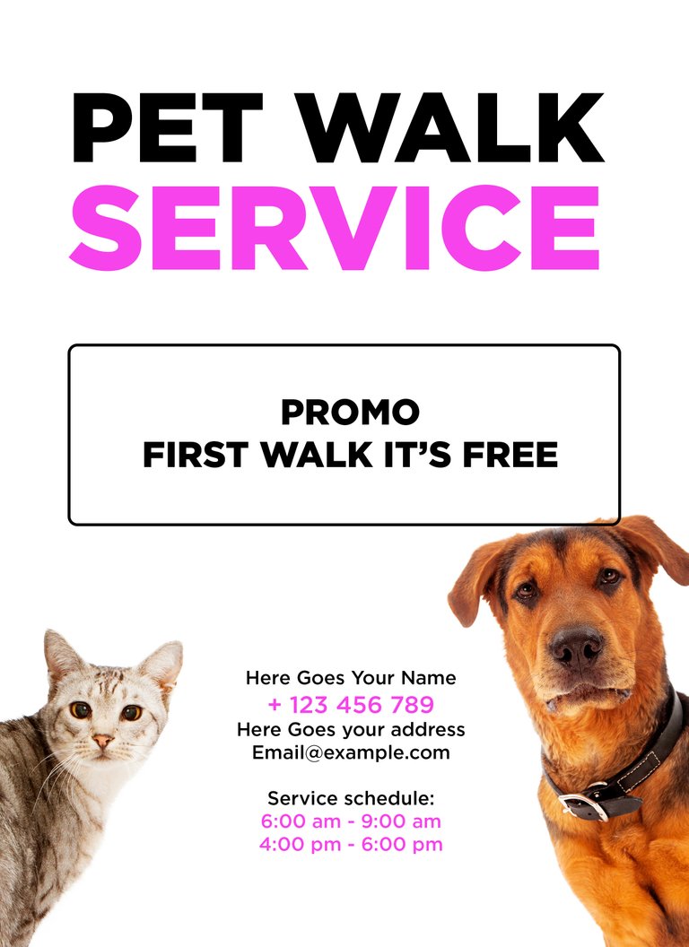 Pet-walk-service.jpg