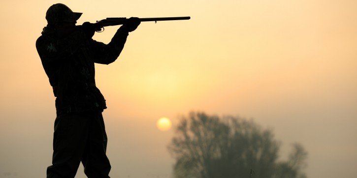 o-HUNTER-facebook-725x362.jpg