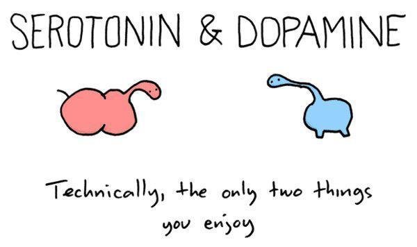 serotonin-and-dopamine-19540.jpg