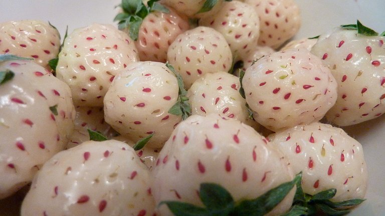 1200px-Pineberries.jpg