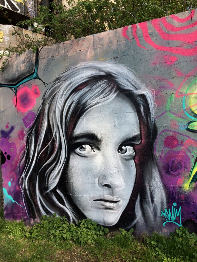 ParisSuburbsStreetArt_0019.jpg