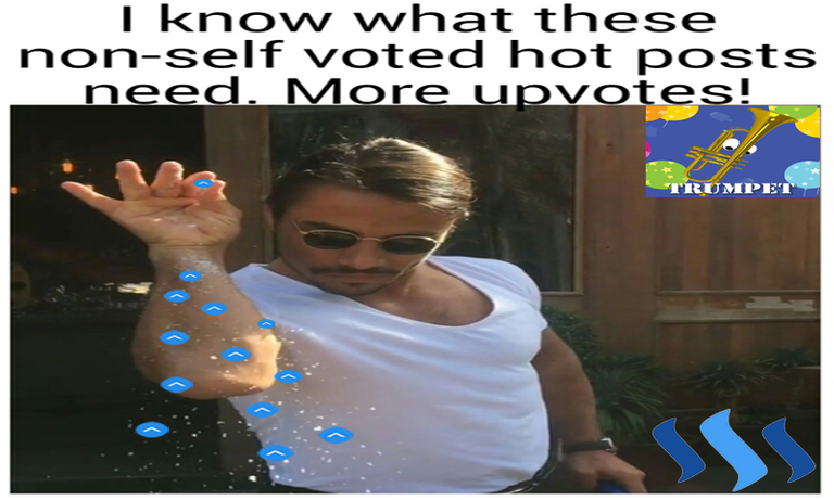 SaltBae no self vote1.png