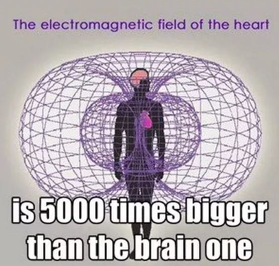 Electro magnetic Field.JPG