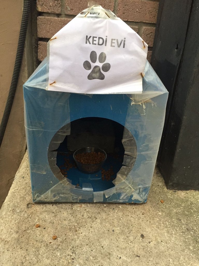 kedi-evi.JPG