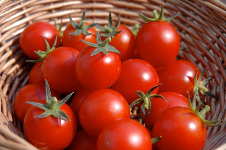 homegrown-tomatoes-basket.jpg