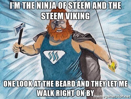 im-the-ninja-of-steem-and-the-steem-viking-one-look-at-the-beard-and-they-let-me-walk-right-on-by.jpg