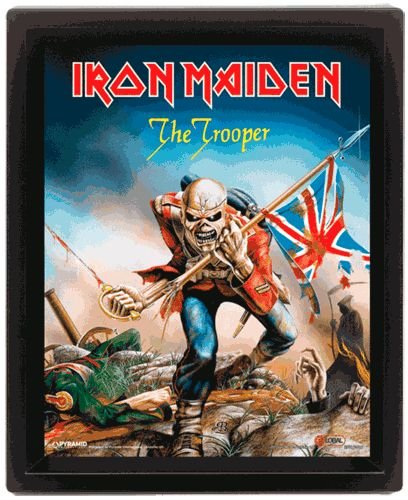 e26b40fe7461fcb29391168160de3cd1--iron-maiden-the-trooper-irons.jpg