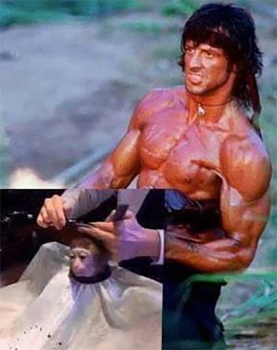 monkey-haircut-meme-rambo.jpg