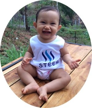 steem-small-ss.jpg