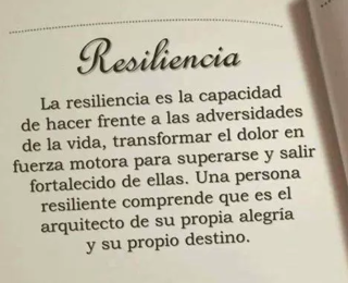 resiliencia concepto.png