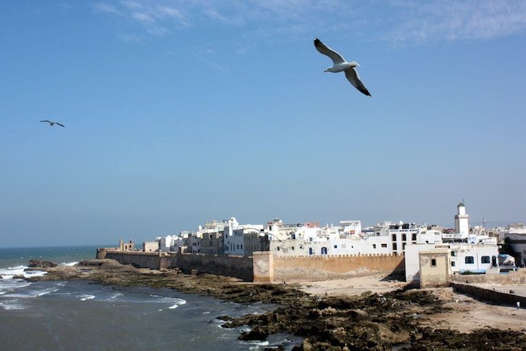 essaouira.jpg