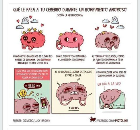 el cerebro y la ruptura.JPG