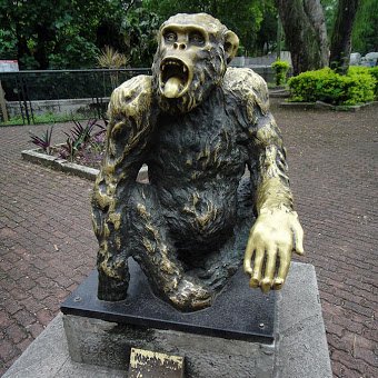 Macaco Tiao.jpg