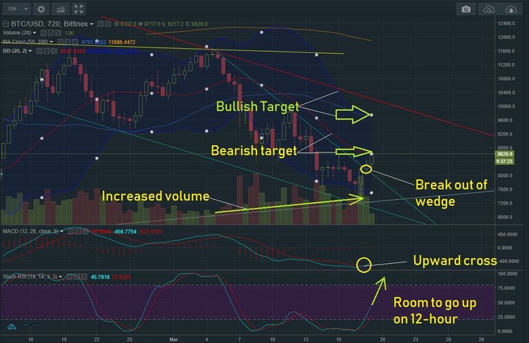 March 19 BTC T&A.jpg