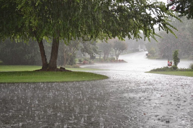 soñar-con-lluvia-768x512.jpg