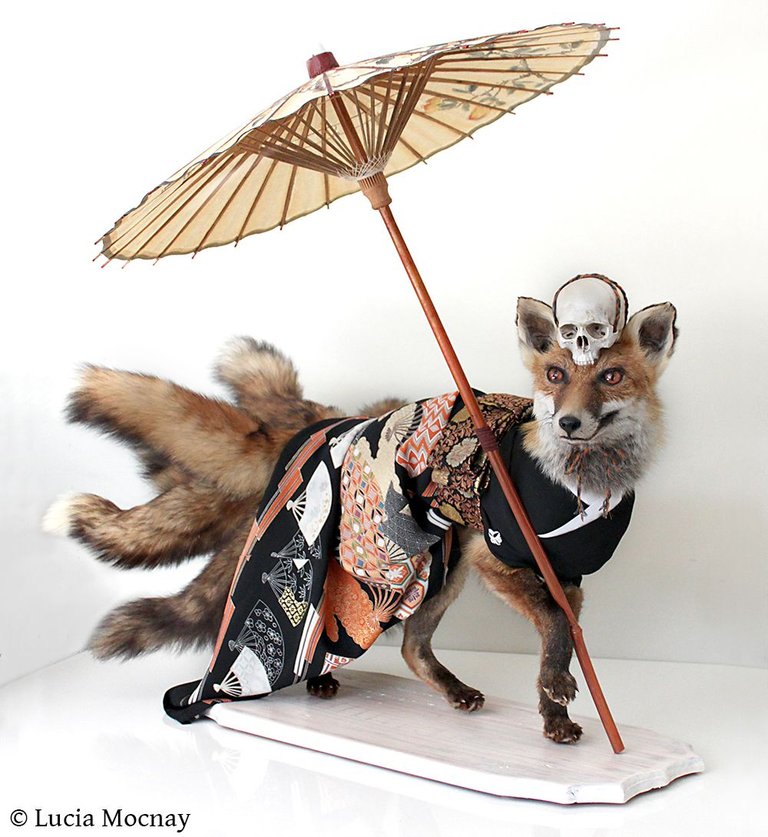 KitsunetaxidermyLuciaMocnay.jpg