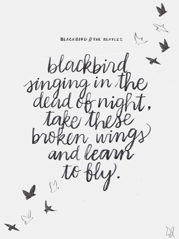 a70d4761e4281bf266ea5ad369733ca0--blackbird-lyrics-blackbird-beatles.jpg