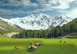 fairy-meadows-raikot.jpg