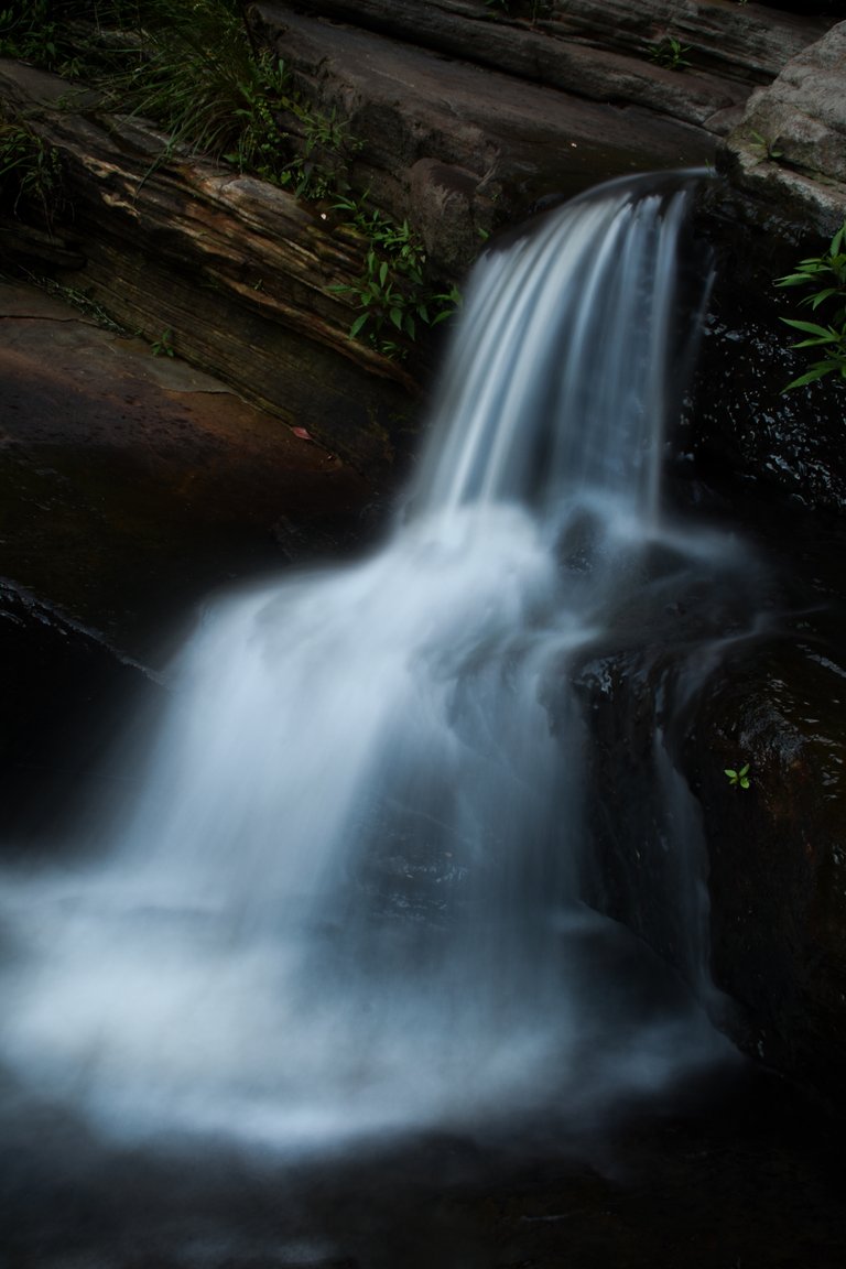 oxfordfalls(closeup) (1 of 1).jpg